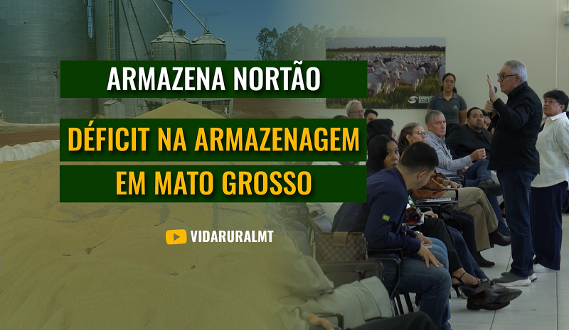 DÉFICIT NA ARMAZENAGEM NO MATO GROSSO